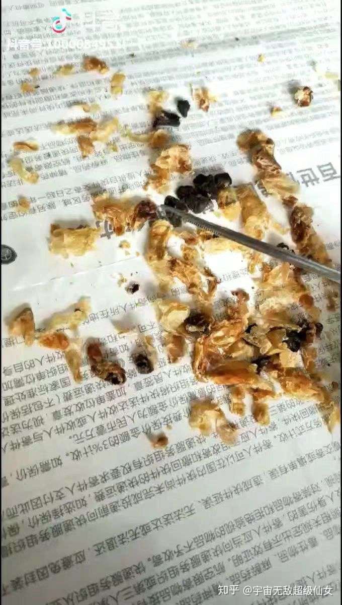 耳屎最大能有多大