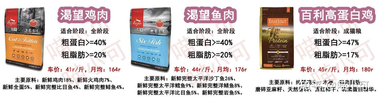 资深猫奴是如何养猫省钱的 含猫粮 猫砂 驱虫等 知乎