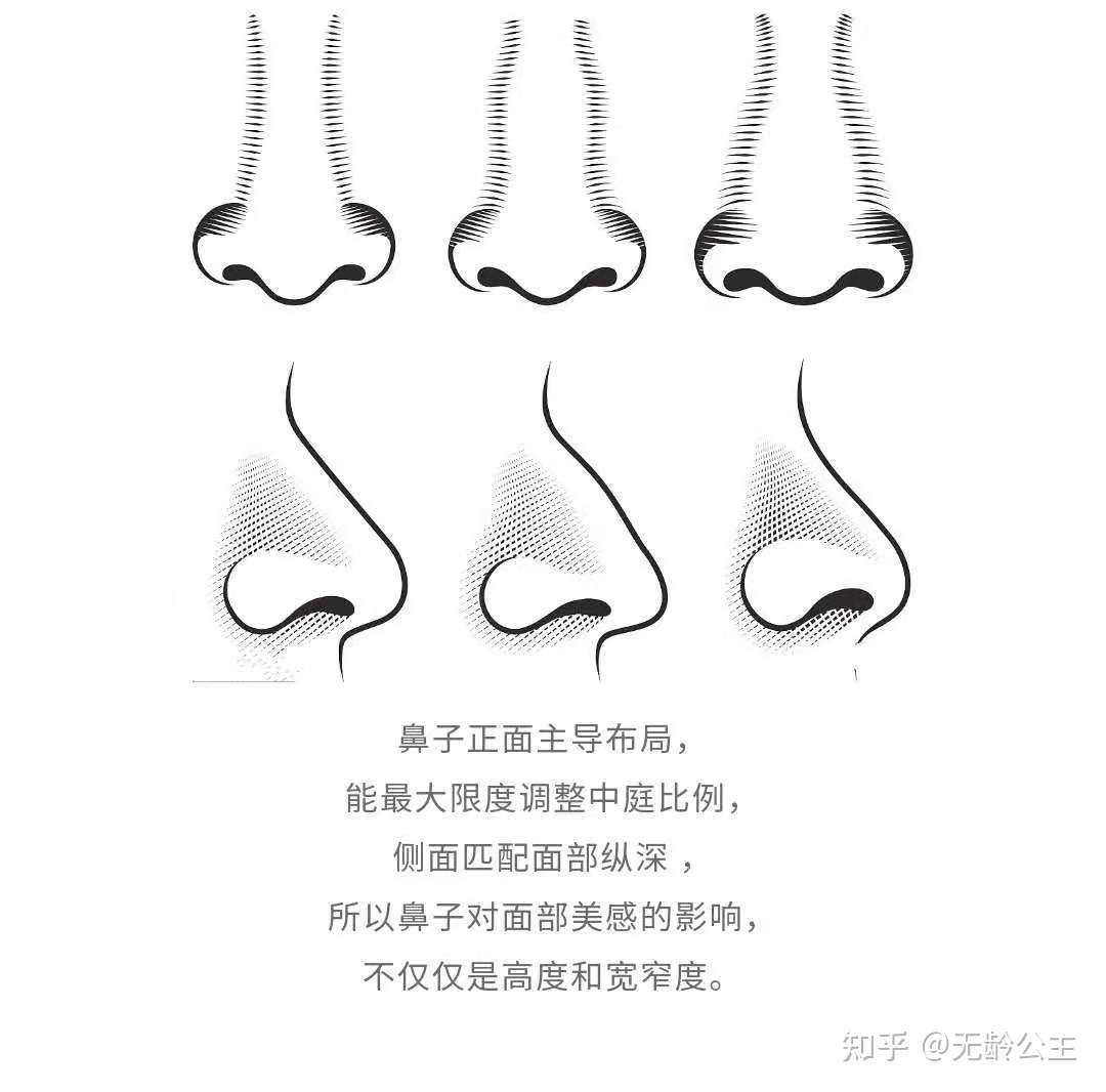 精致鼻头变成银角大王 大美人的极端化 知乎