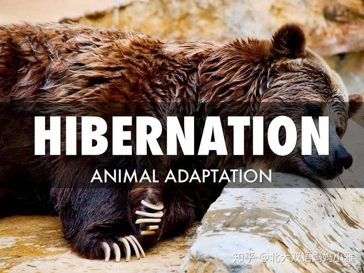 冷血动物说ectotherm太难,简单说法是?