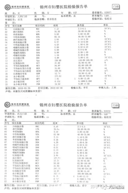 大公鸡报晓