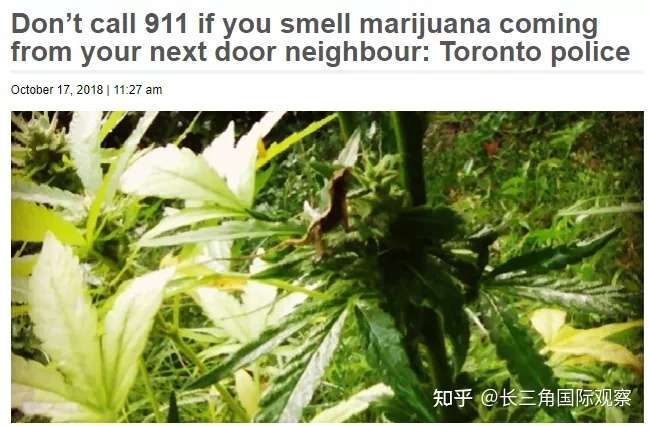 三名加拿大留学生深陷毒瘾后归国被抓 是谁把我的孩子变成了瘾君子 知乎