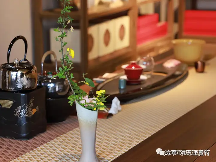 去有风的地方｜看治愈系风景！(有风景有美食的说说)