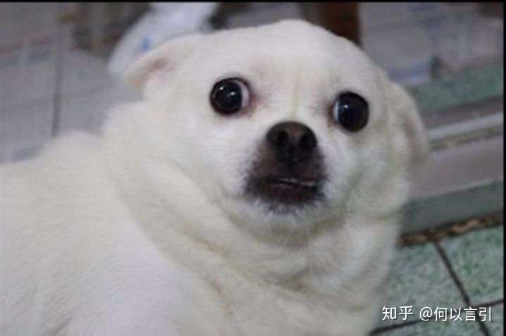 小说里你不想看的剧情桥段有哪些