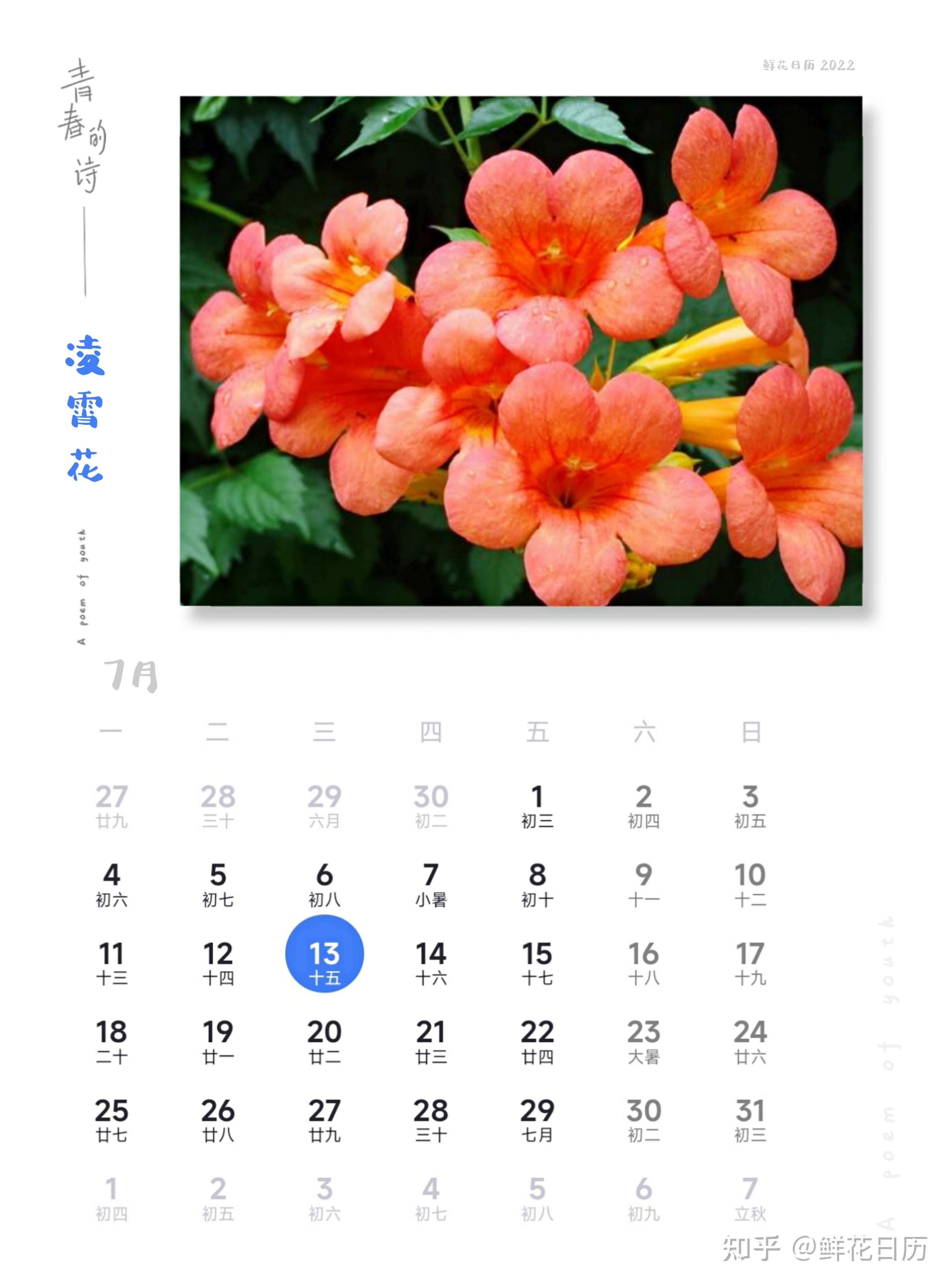 鮮花日曆 的想法: 鮮花日曆,7月13日凌霄花 - 知乎