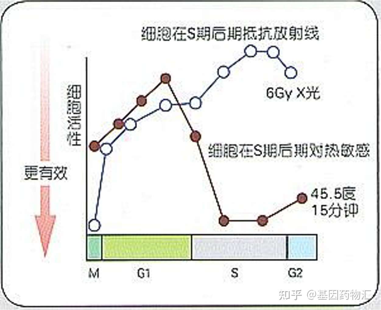 高溫熱療的運作原理 Cancercare Hk