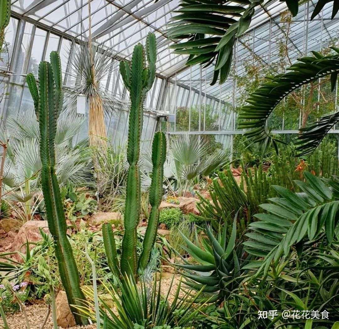 世界植物园赏析 英国爱丁堡皇家植物园 知乎