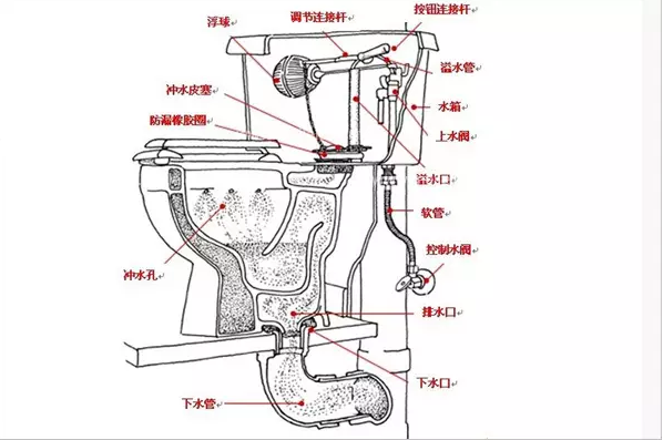 马桶各个部位名称图片
