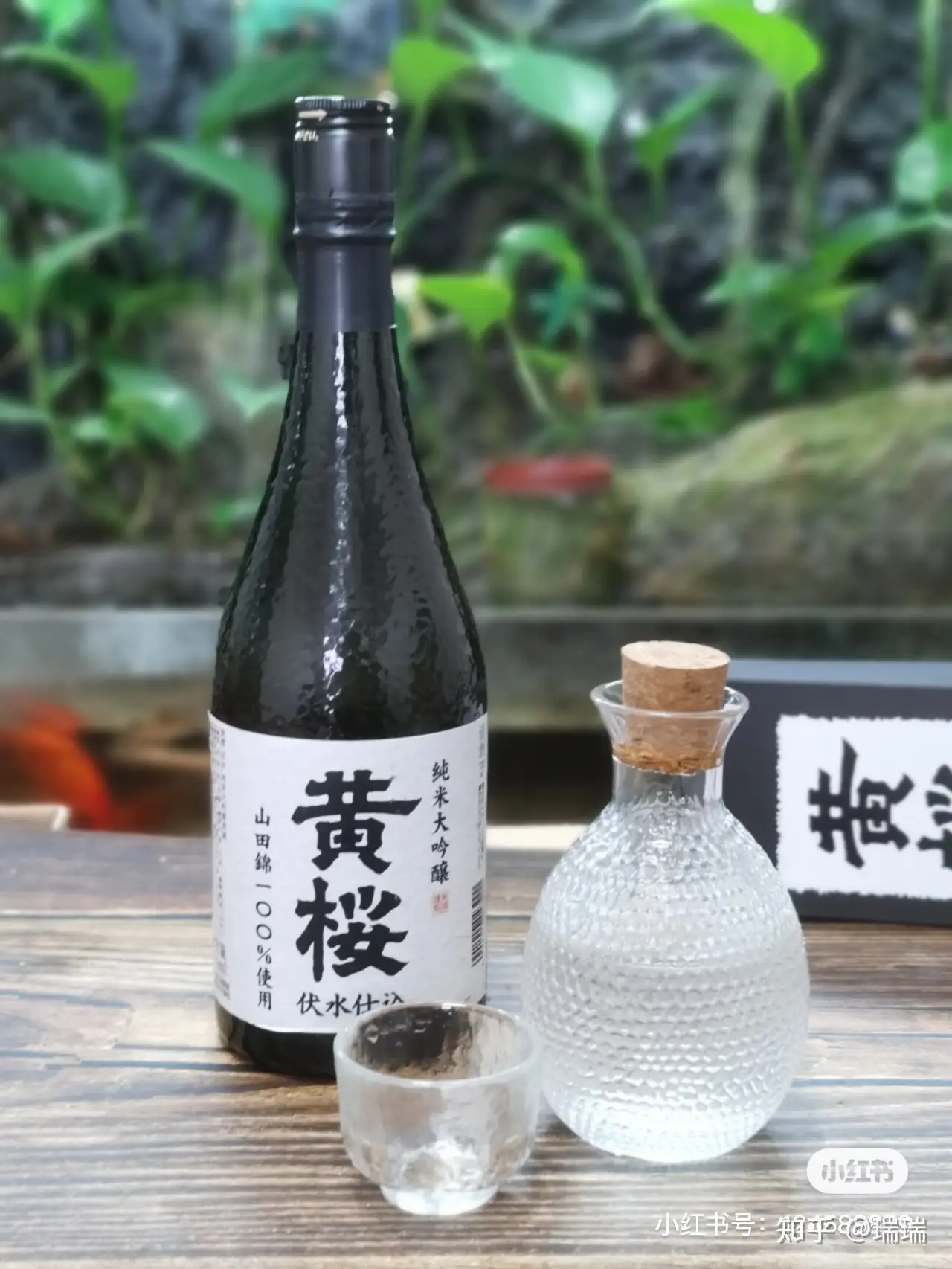 黑龙石田屋纯米大吟酿- 知乎