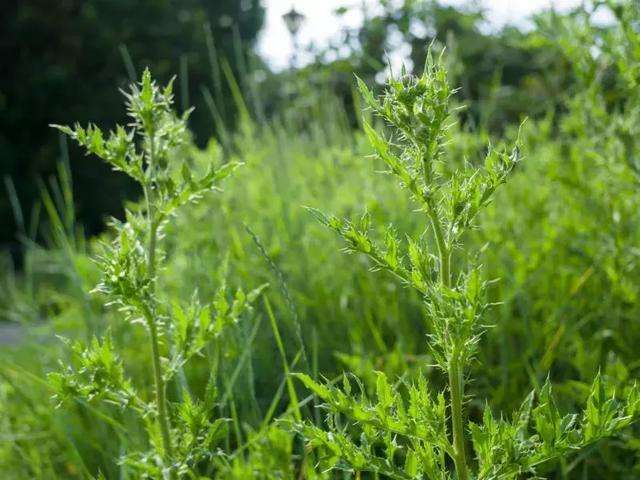 Pic4 Zhimg Com 80 V2 1eee3ffcff761c438