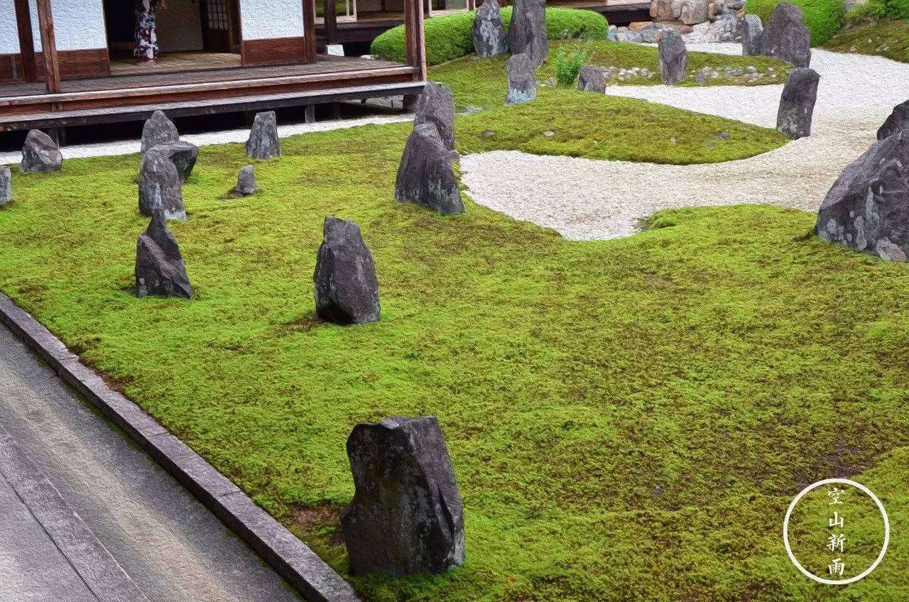 最优雅的日本枯山水 光明院波心庭 知乎