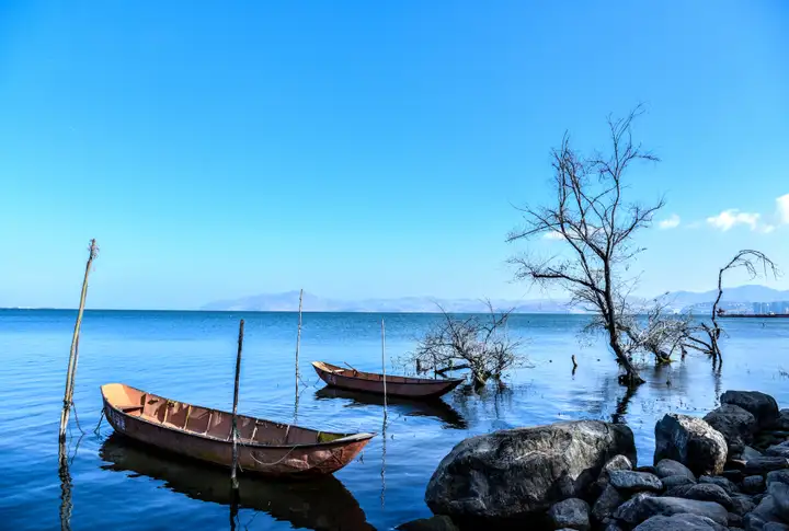 这都可以(大理丽江旅游攻略必去景点推荐)云南大理丽江旅游攻略2023已更新 第13张