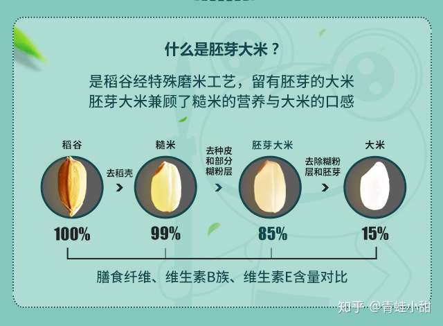 誰能給普及一下大米胚芽米的知識?和糙米有啥不同?