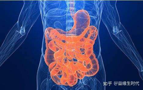 益缘生 营养缺乏 很可能营养吸收不好 知乎
