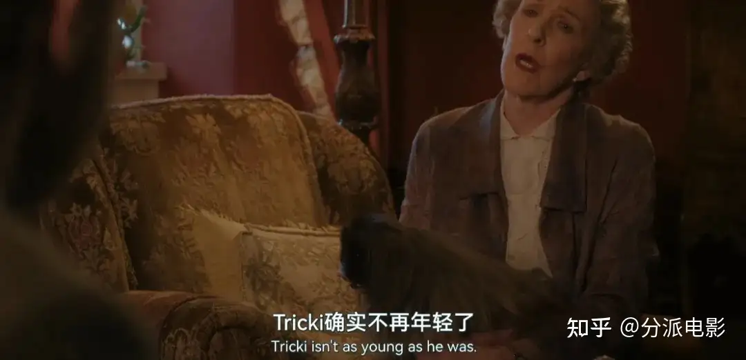 《万物生灵第六季》豆瓣9.4，秋季限定神剧回归！