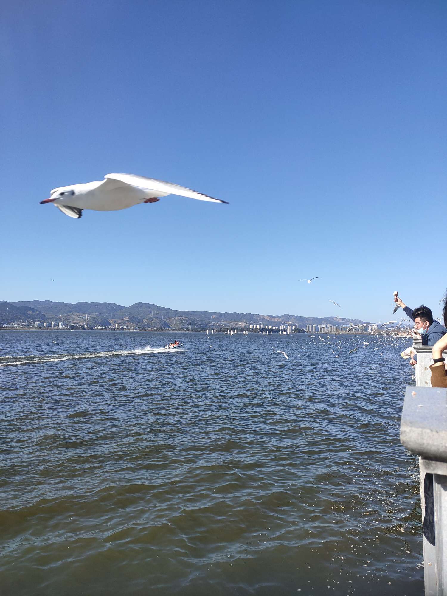 轻语清月 的想法: 过年去云南排队打卡看人头 | 我们国人喜… - 知乎