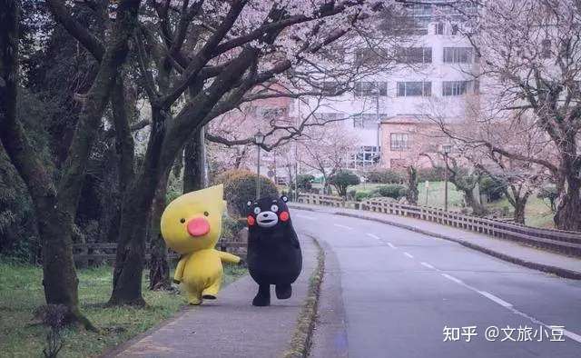 阿里巴巴签约日本熊本县 电商巨头入局文旅 不止会砸钱 知乎