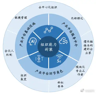 组织发展的四个阶梯