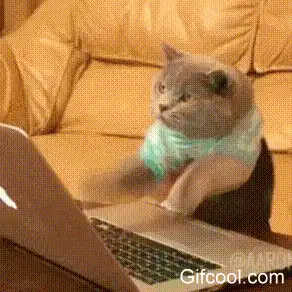 那就,下次见?