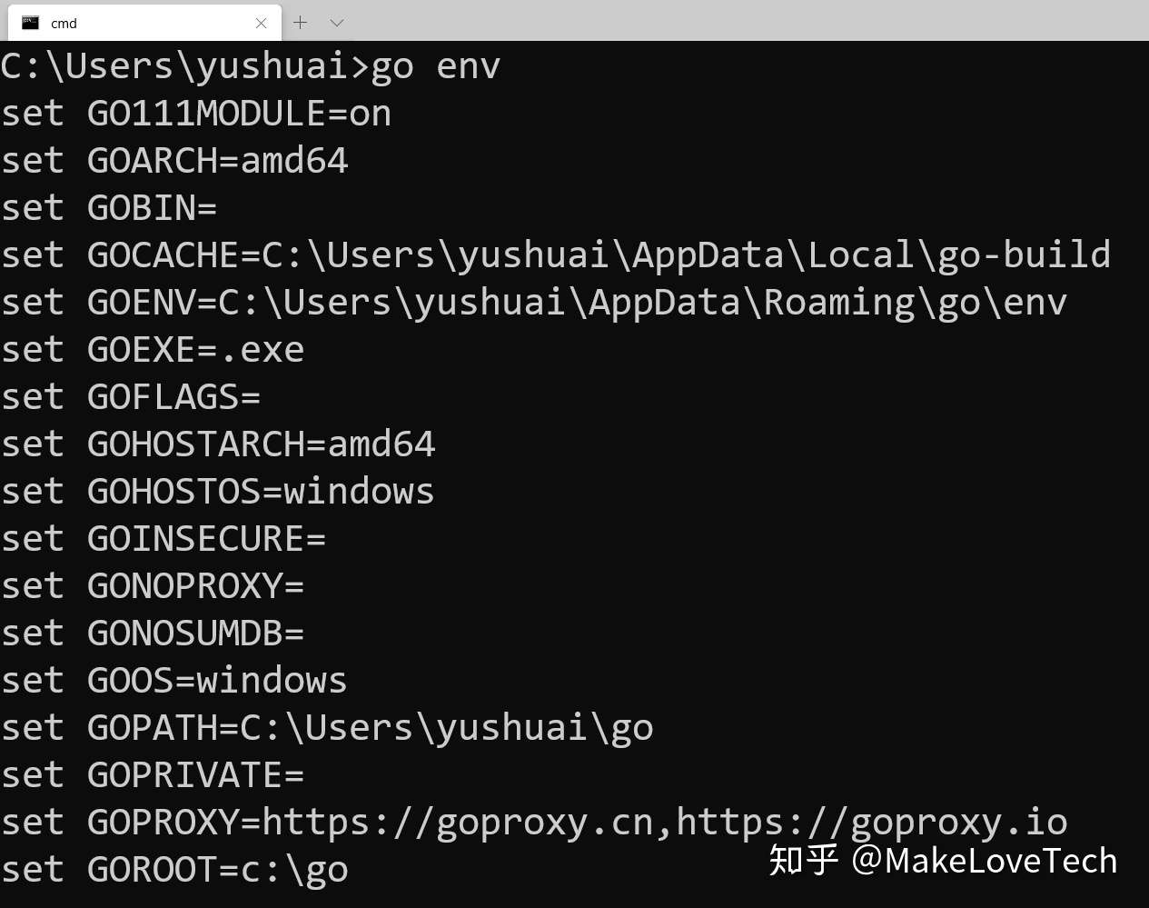 快速转型golang Go语言 Web开发06go核心概念之goproxy Go111module 知乎