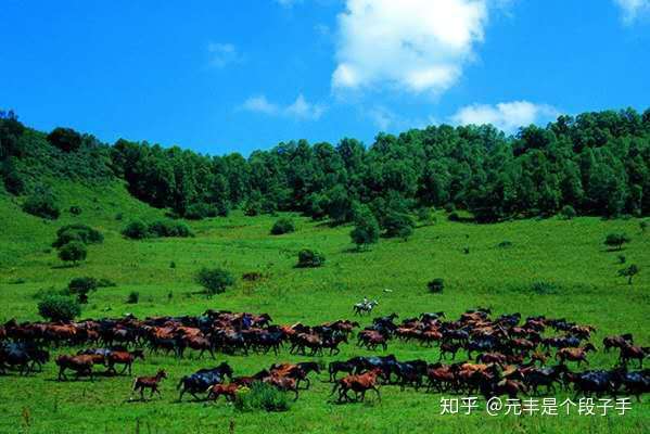 宝鸡 关山牧场 知乎