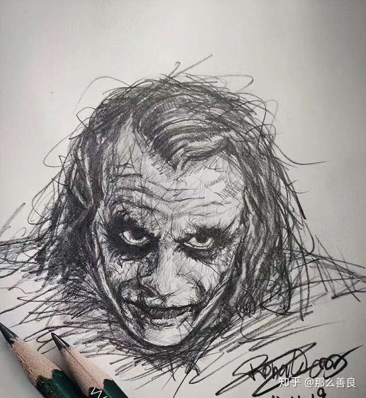 我是一只追着汽车跑的狗