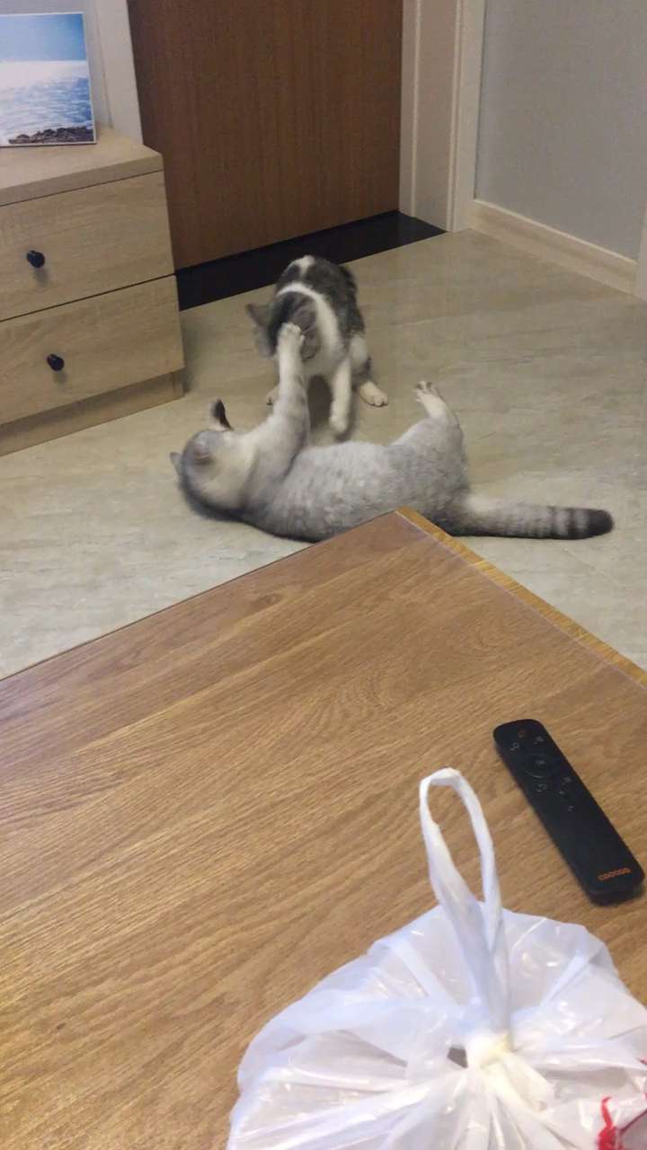 v2-1ac45d10410142b2c87b04ca1483513a_bh.jpg?source=1940ef5c