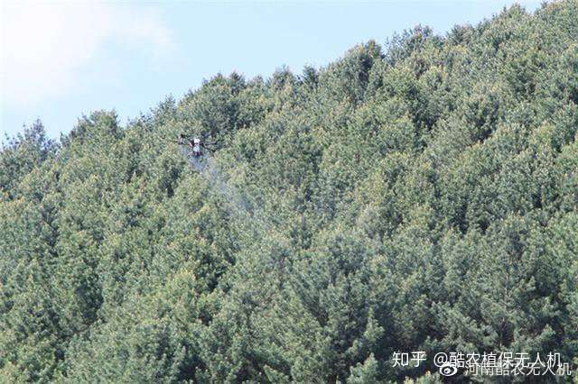 临江林业局 无人机喷药防虫大显身手 知乎