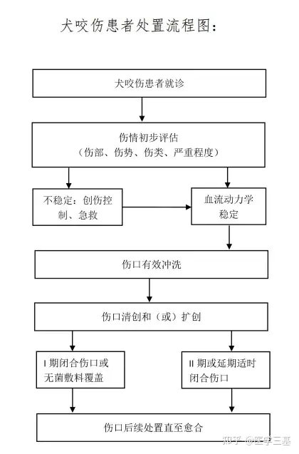 气性坏疽手术防护图片