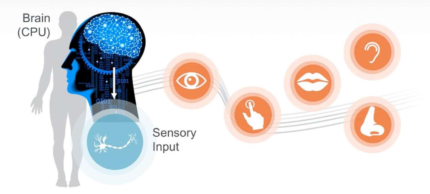 关于sensor Fusion的那些事 知乎