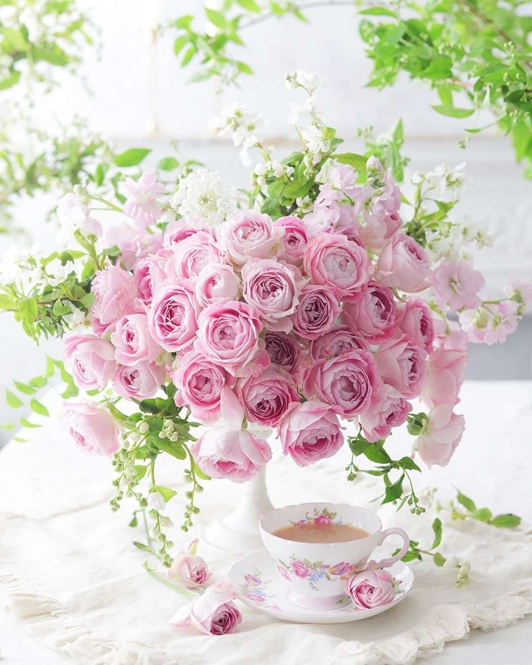 寂寥冬日 我喜欢明亮的光和鲜艳的花 知乎