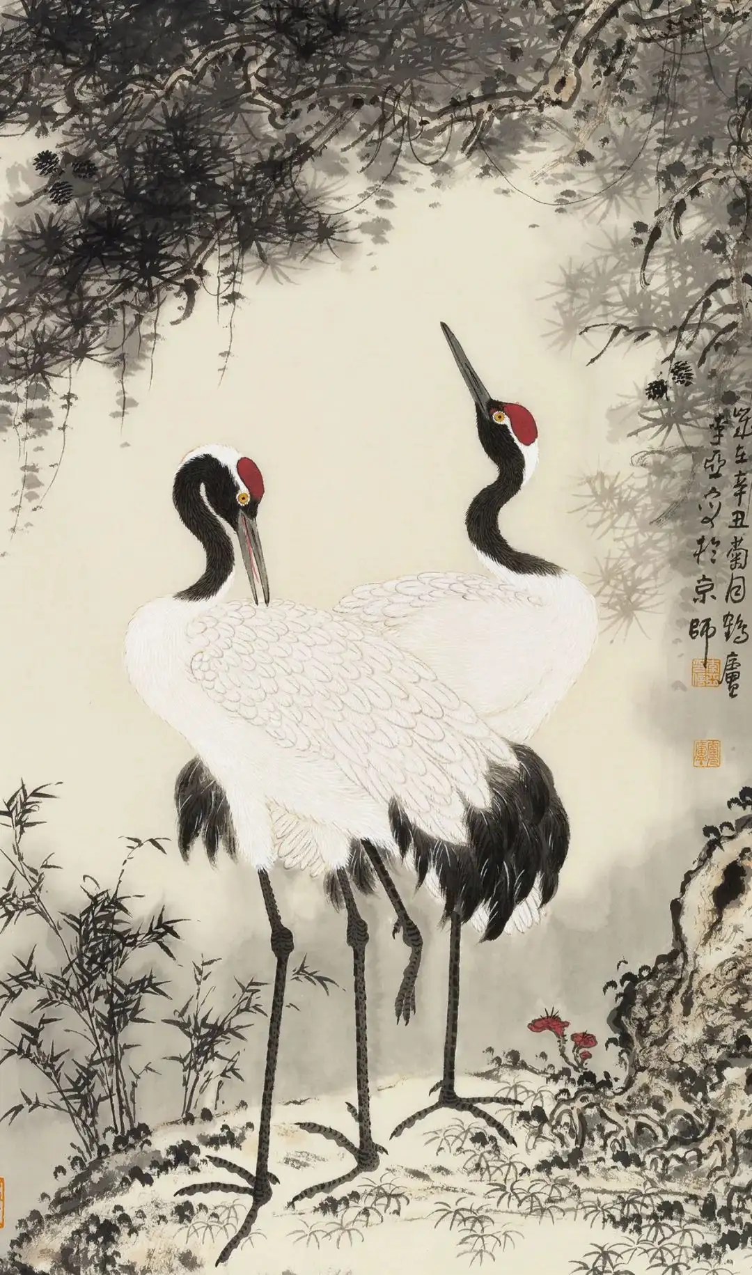 ラシュトン スノーベビーベア ラシュトン スノーベビーベア 大吟醸様の専用