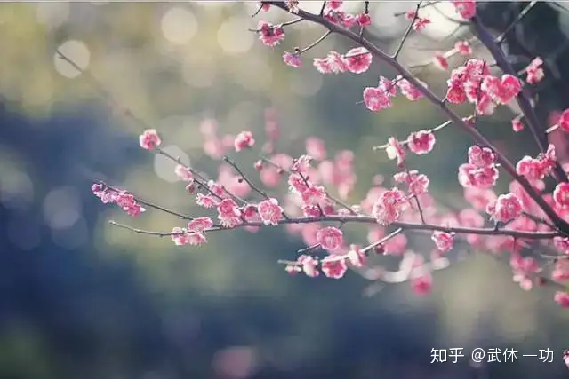 【一功分享】王维最美10首绝句，字字珠玑，首首如画(王维经典诗词)