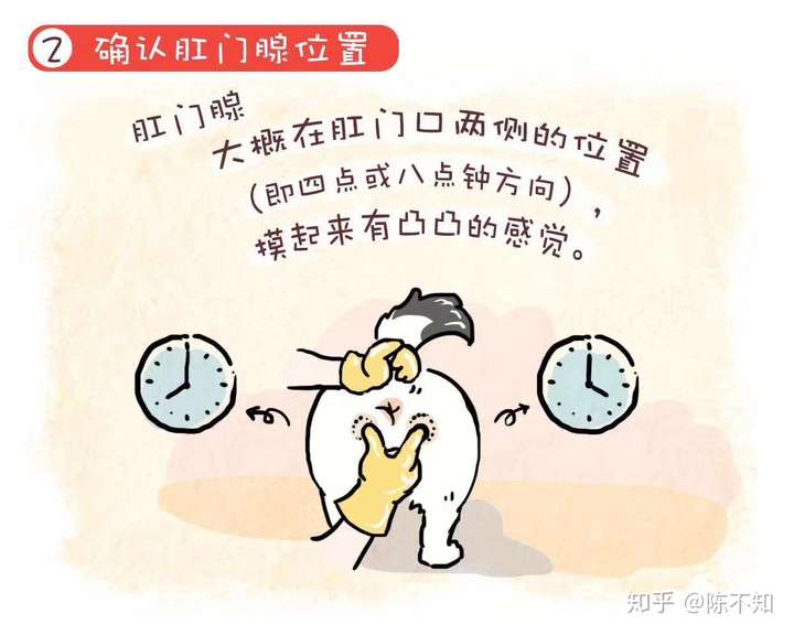 如果不给狗狗挤肛门腺对狗狗会有什么样的影响
