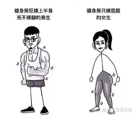 只练上半身的男生 和 只练下半身的女生 会有 怎样的后果 知乎