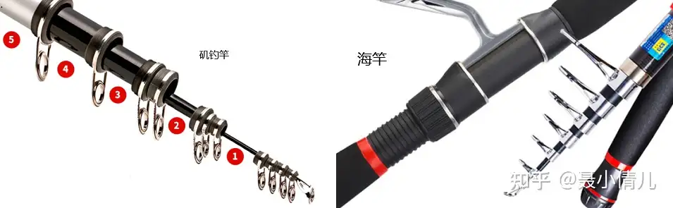 新手海竿怎么选？高性价比海竿品牌型号推荐？附海竿、路亚竿、矶钓竿和 