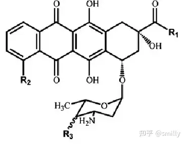 蒽环结构图片