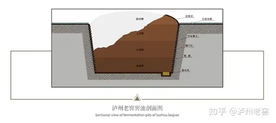 活态双国宝”之1573国宝窖池群- 知乎