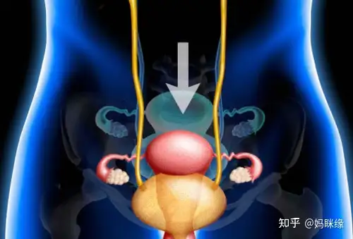 袖过届！循捞欠走线10大忱厘汞因(图7)