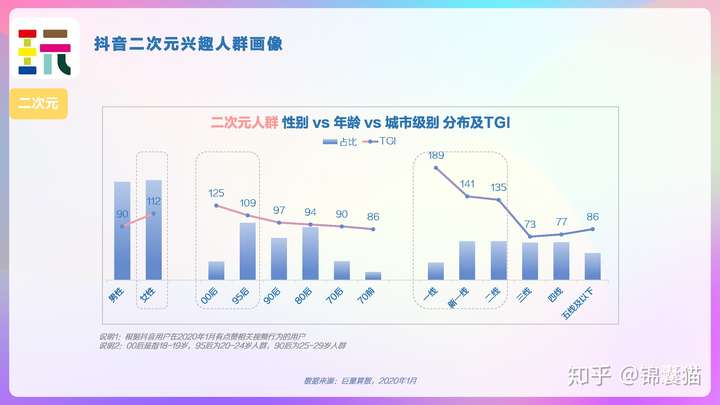 2020抖音用户画像分析