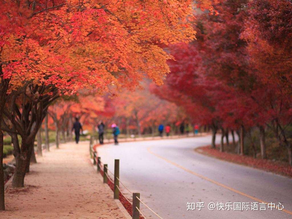 枫叶的季节 探访韩国丹枫名所 知乎