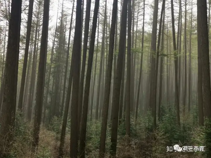 忻州为什么是历史龙套王--及芦芽山旅游攻略