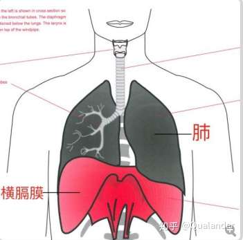 八告别气沉丹田的玄学