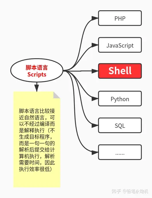 Scripts 脚本语言 Shell Sh Bash之间的关系 知乎