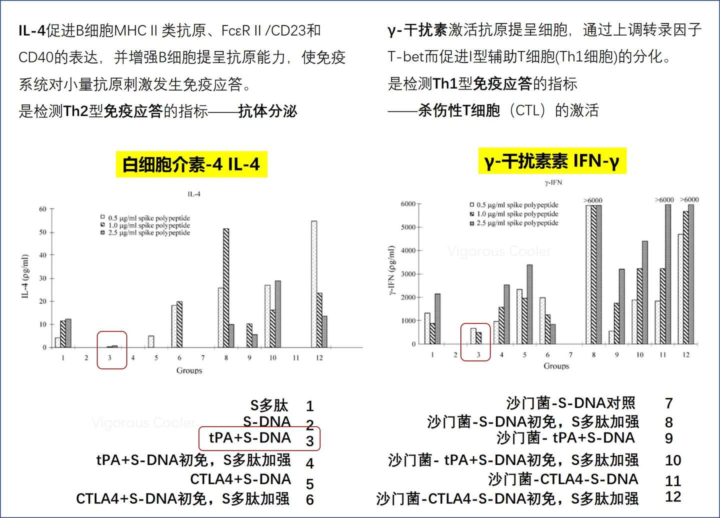 新闻里说港大的核酸疫苗是怎么回事 知乎