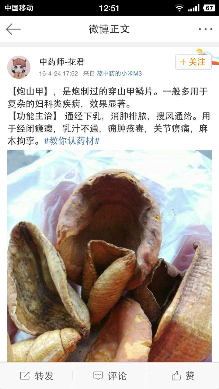 穿山甲被大规模的盗猎,真的是中医或者中医粉的主要责任吗?