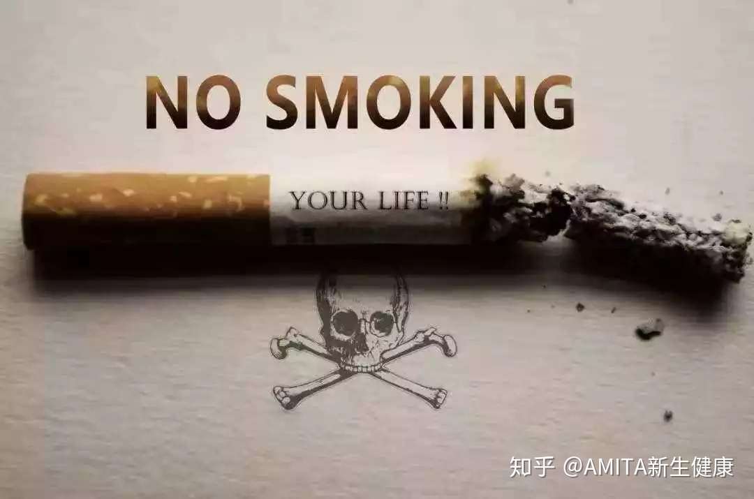 知乎专栏