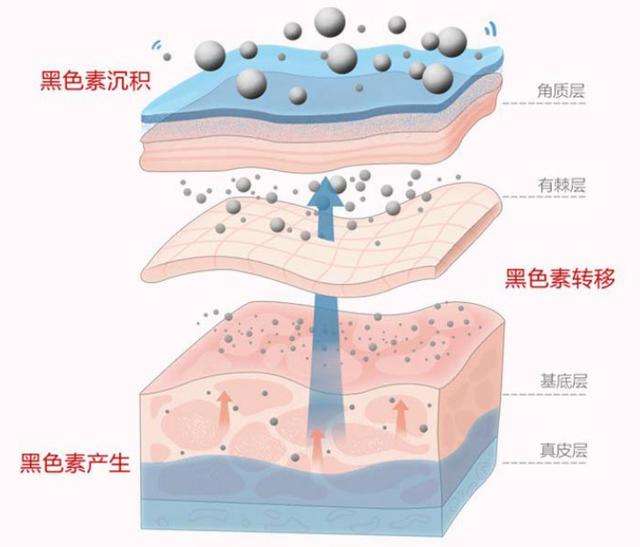 非!常!对! 虽然皮肤的颜色是根据遗传因