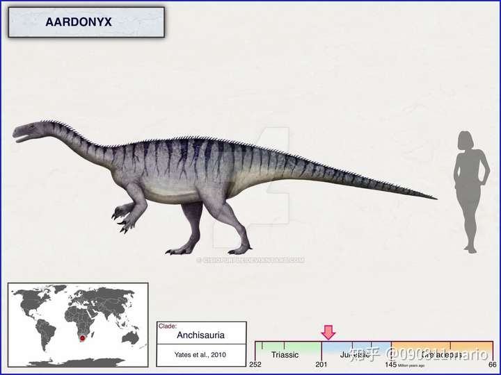 哺乳动物体型变大会被重力压垮,那么恐龙为什么没被重力压垮呢?