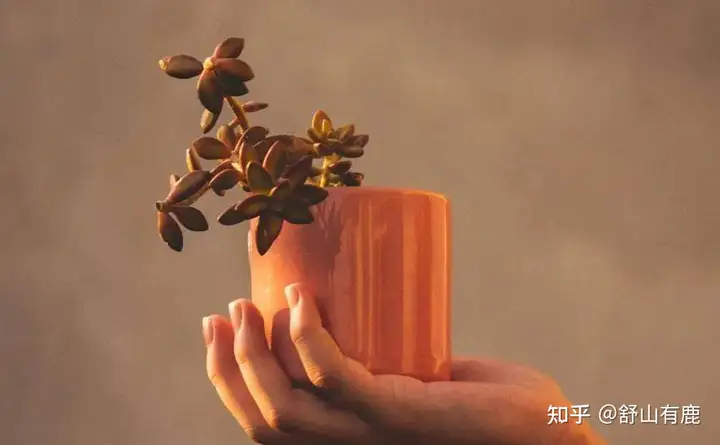 一个人，让你出现这四种感觉，那是老天暗示你要远离他